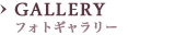 GALLERY フォトギャラリー